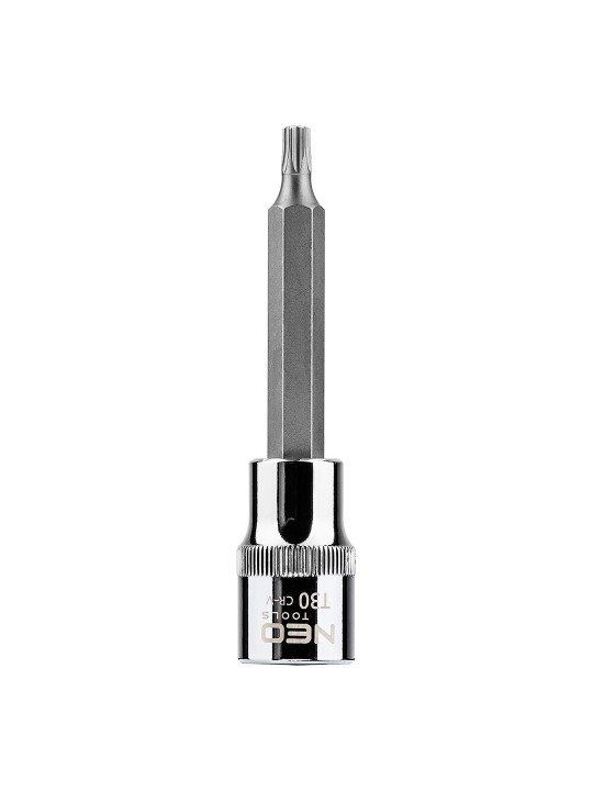 Antgalis torx 1/2