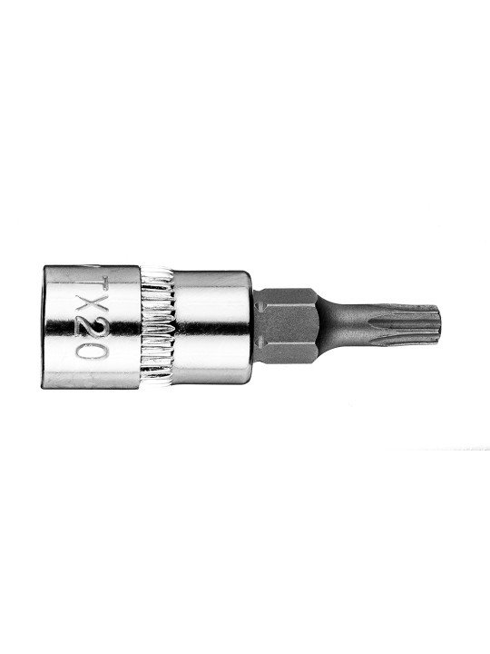TORX TX20 antgalis su 1/4