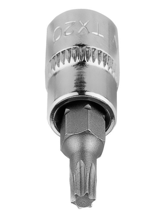 TORX TX20 antgalis su 1/4