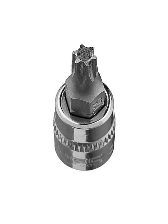 TORX TX25 antgalis su 1/4