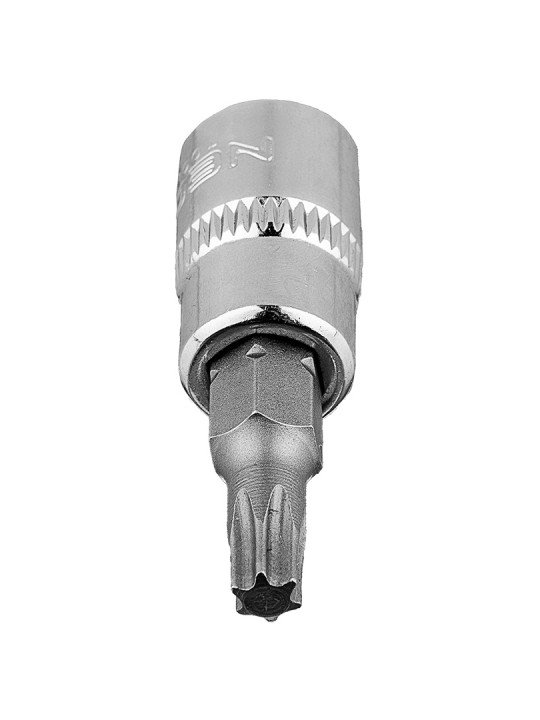 TORX TX25 antgalis su 1/4