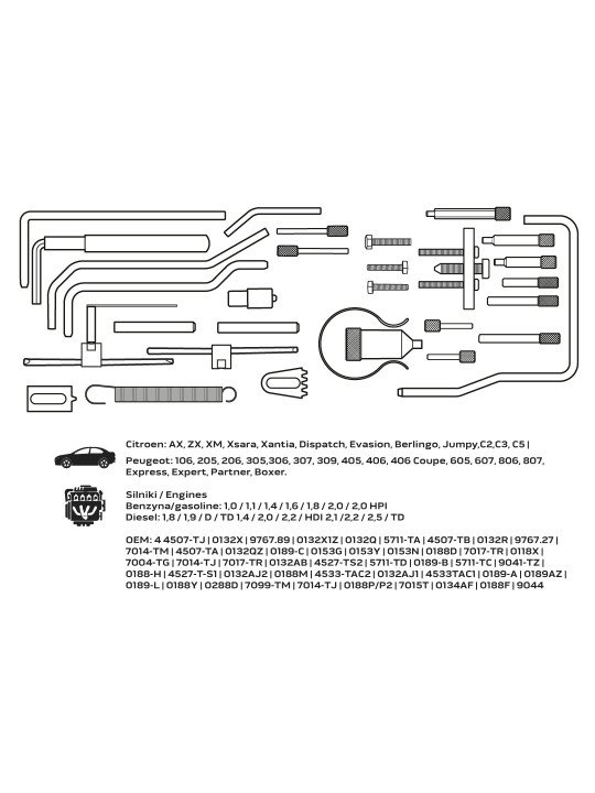 Paskirstymo veleno fiksavimo komplektas - PSA gasoline and disel engine