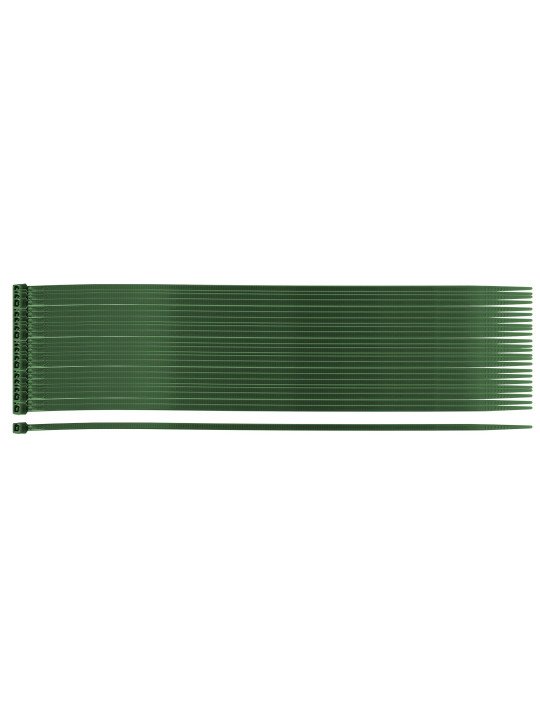 Užveržimo dirželiai 2,5 x 200 mm, 50 vnt, žalia