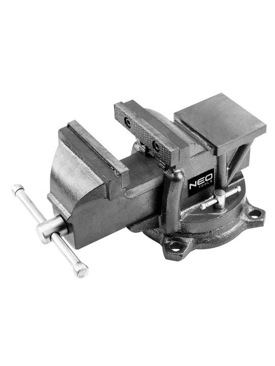 Spaustai preciziniai 100mm
