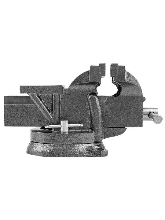 Spaustai preciziniai 100mm