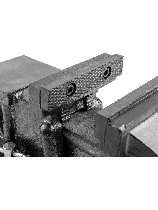 Spaustai preciziniai 100mm