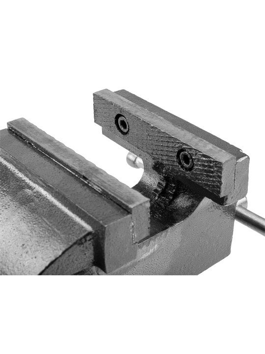 Spaustai preciziniai 100mm