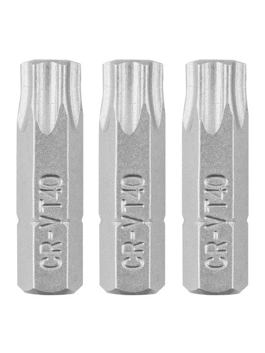 „Torx“ bitai nuo T6 iki T40 po 3vnt pakuotėje